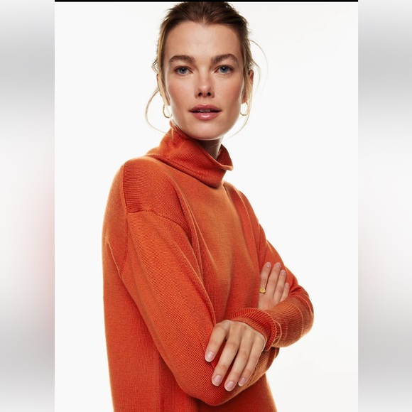 Aritzia Cyprie Sweater 100% Merino wool mock-neck sweater NWT - Picture 4 of 7